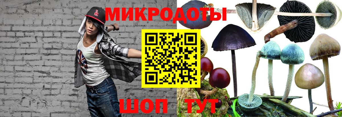 Галлюциногенные грибы MAGIC MUSHROOMS  Вход с VPN  Касимов 